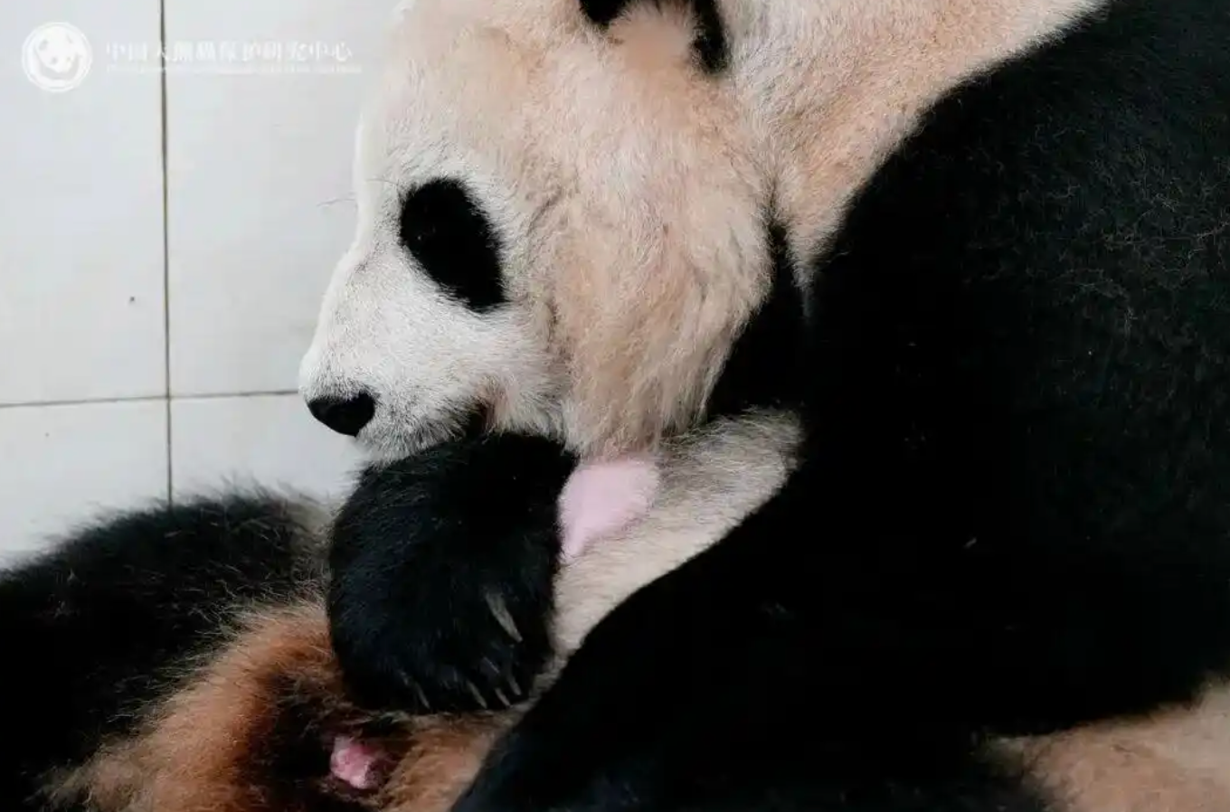 每日经济新闻
