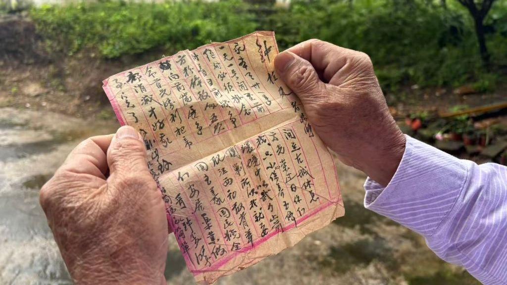 谢娜还是太超前了