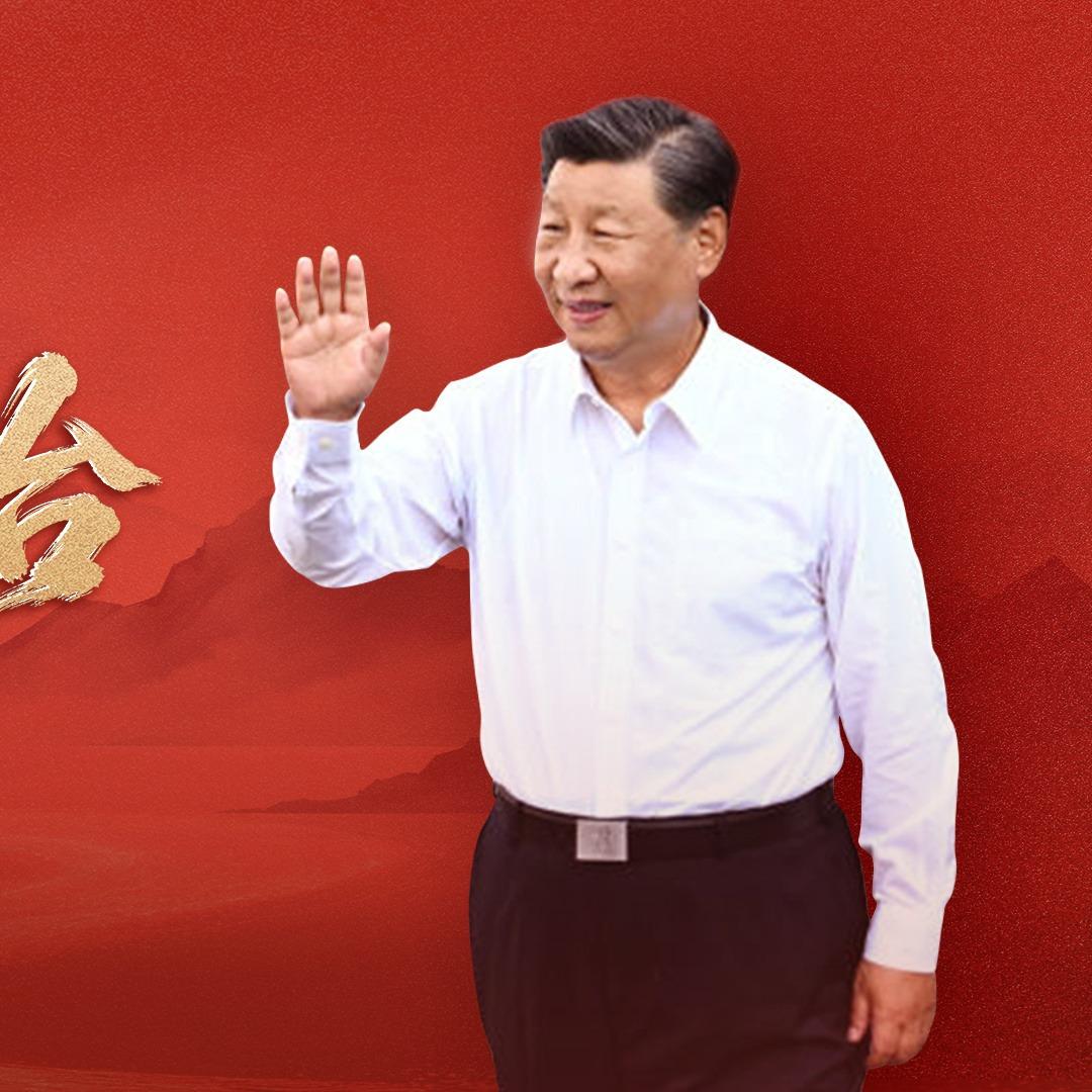 樊振东巴黎奥运之后首次参赛
