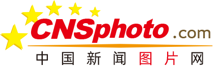 免费在线观看
