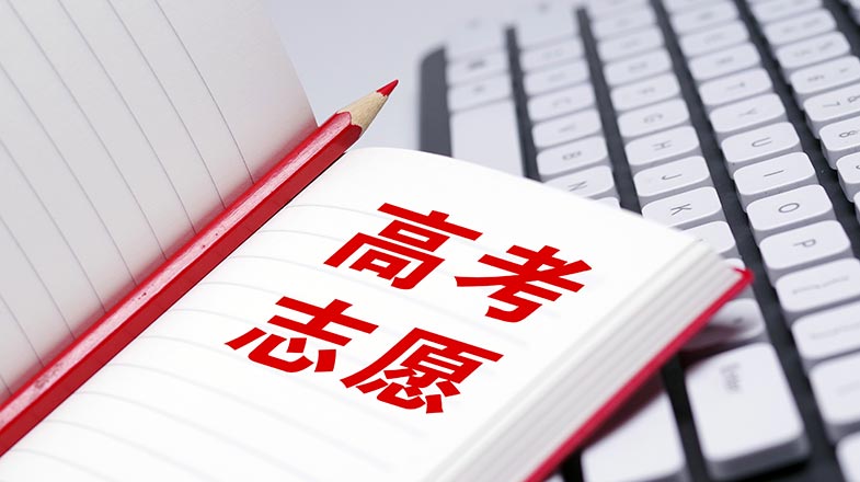 成全在线观看免费完整版第6